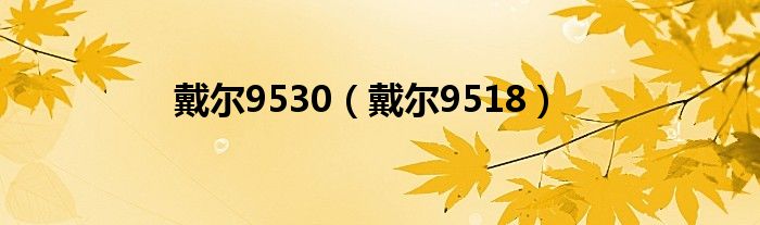 戴爾9530（戴爾9518）