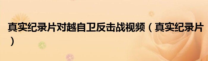 真實紀錄片對越自衛(wèi)反擊戰(zhàn)視頻（真實紀錄片）
