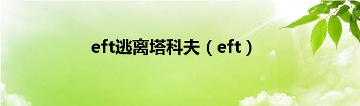 eft逃離塔科夫（eft）