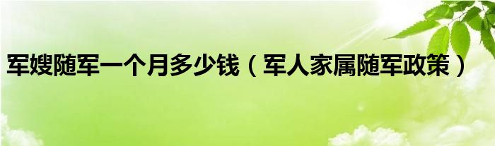 軍嫂隨軍一個月多少錢（軍人家屬隨軍政策）