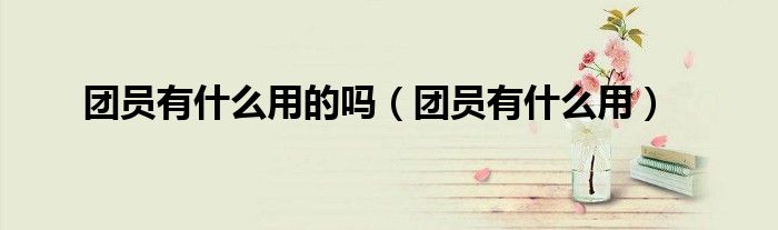 團(tuán)員有什么用的嗎（團(tuán)員有什么用）