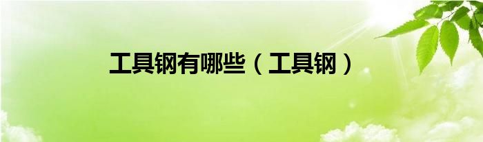 工具鋼有哪些（工具鋼）