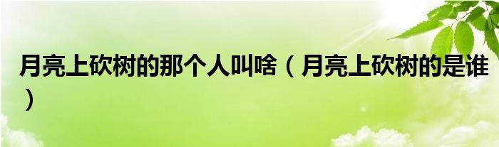 月亮上砍樹(shù)的那個(gè)人叫啥（月亮上砍樹(shù)的是誰(shuí)）