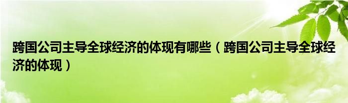 跨國公司主導(dǎo)全球經(jīng)濟的體現(xiàn)有哪些（跨國公司主導(dǎo)全球經(jīng)濟的體現(xiàn)）