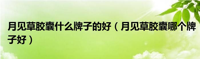 月見草膠囊什么牌子的好（月見草膠囊哪個牌子好）