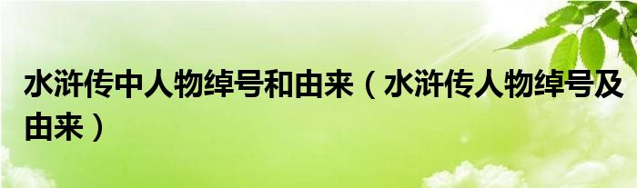 水滸傳中人物綽號和由來（水滸傳人物綽號及由來）
