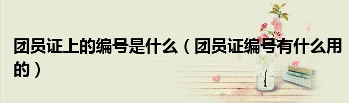 團(tuán)員證上的編號(hào)是什么（團(tuán)員證編號(hào)有什么用的）