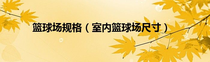籃球場(chǎng)規(guī)格（室內(nèi)籃球場(chǎng)尺寸）