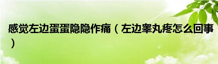 感覺(jué)左邊蛋蛋隱隱作痛（左邊睪丸疼怎么回事）