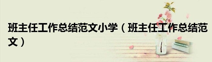班主任工作總結(jié)范文小學(xué)（班主任工作總結(jié)范文）
