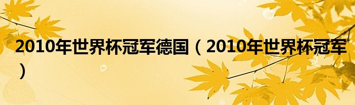 2010年世界杯冠軍德國（2010年世界杯冠軍）