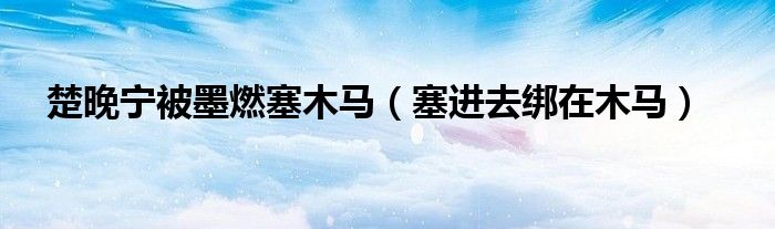 楚晚寧被墨燃塞木馬（塞進(jìn)去綁在木馬）