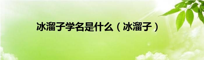 冰溜子學(xué)名是什么（冰溜子）