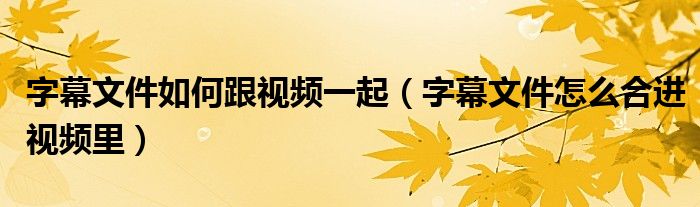字幕文件如何跟視頻一起（字幕文件怎么合進(jìn)視頻里）