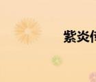 紫炎傳未刪節(jié)（紫炎傳）