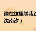 請在這里等我沈南汐全文下載（請在這里等我沈南汐）
