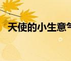 天使的小生意氣的拼音（天使的小生意氣）
