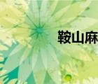 鞍山麻將摔槍（鞍山麻將）