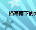描寫雨下的大的成語(yǔ)（描寫云的成語(yǔ)）