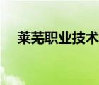 萊蕪職業(yè)技術(shù)學(xué)院（萊蕪職業(yè)學(xué)院官網(wǎng)）