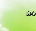 良心網(wǎng)官網(wǎng)（良心網(wǎng)）