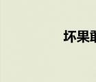 壞果敢你懂的（壞果敢）