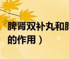 脾腎雙補丸和脾腎兩助丸的區(qū)別（脾腎兩助丸的作用）