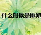 什么時候是排卵期（女人排卵期是什么時候）