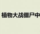 植物大戰(zhàn)僵尸中文版（植物大戰(zhàn)僵尸動(dòng)畫版）