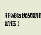 非誠勿擾胡凱鈺牽手后結(jié)婚了嗎（非誠勿擾胡凱鈺）
