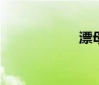 漂母的讀音（漂母）