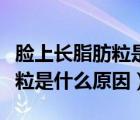 臉上長脂肪粒是什么原因?qū)е碌模樕祥L脂肪粒是什么原因）
