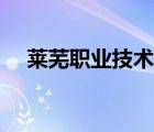 萊蕪職業(yè)技術(shù)學(xué)院（萊蕪職業(yè)學(xué)院官網(wǎng)）