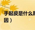 手起皮是什么原因怎么解決（手起皮是什么原因）