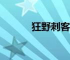 狂野刺客流裝備（狂野刺客流）