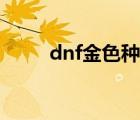 dnf金色種子有什么用（dnf金色）