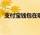 支付寶錢包在哪打開（支付寶錢包怎么用）