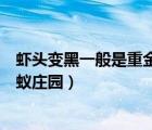 蝦頭變黑一般是重金屬超標(biāo)嗎（蝦頭變黑是重金屬超標(biāo)嗎螞蟻莊園）