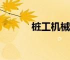 樁工機(jī)械檢測報(bào)告（樁工機(jī)械）