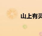 山上有靈仙txt（山上有靈仙）