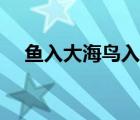 魚入大海鳥入山林（海上清潔工的海鳥）