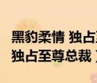 黑豹柔情 獨(dú)占至尊總裁 于諾下載（黑豹柔情 獨(dú)占至尊總裁）