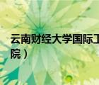 云南財經(jīng)大學(xué)國際工商學(xué)院院長（云南財經(jīng)大學(xué)國際工商學(xué)院）