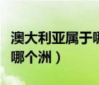 澳大利亞屬于哪個(gè)洲哪個(gè)板塊（澳大利亞屬于哪個(gè)洲）