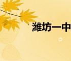濰坊一中鳥瞰（濰坊一中網(wǎng)站）