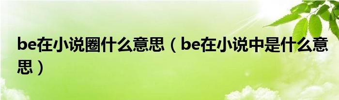 be在小說圈什么意思（be在小說中是什么意思）
