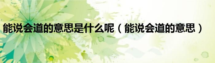 能說會道的意思是什么呢（能說會道的意思）