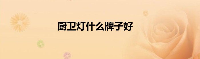 廚衛(wèi)燈什么牌子好