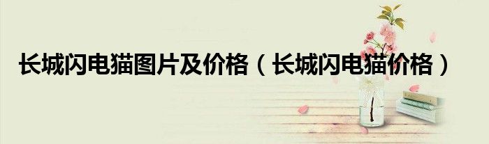 長城閃電貓圖片及價(jià)格（長城閃電貓價(jià)格）