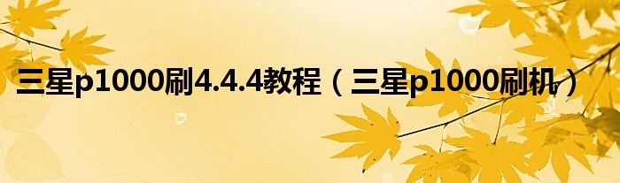 三星p1000刷4.4.4教程（三星p1000刷機）